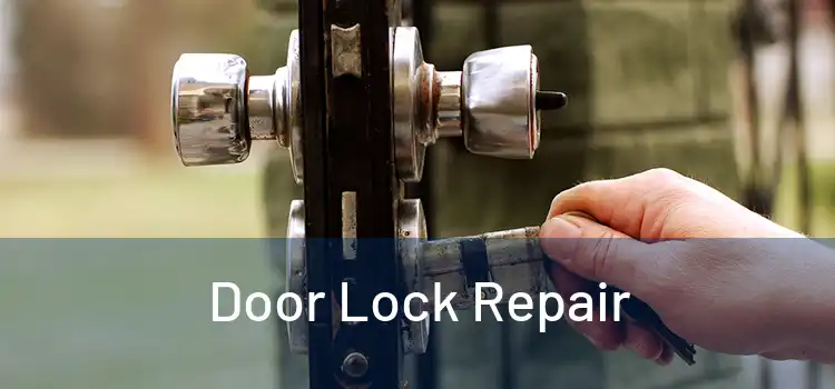 Door Lock Repair