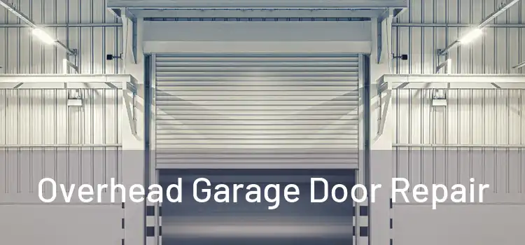  Overhead Garage Door Repair 